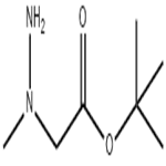 N-Amino-N-methylglycine tert-butyl ester
