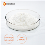 NADP β-Nicotinamide Adenine Dinucleotide Phosphate Disodium Salt (oxidized form)