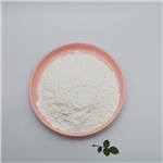 N-Boc-piperazine