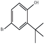 4-Bromo-2-tert-butylphenol