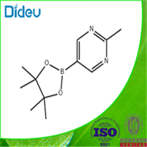 2-MethylpyriMidine-5-boronic Acid Pinacol Ester 