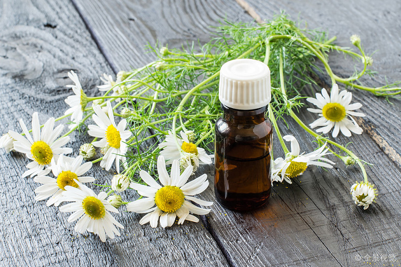 Chamomile oil