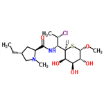 Clindamycin B