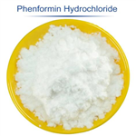 Phenformin (hydrochloride)