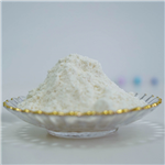 Lidocaine hydrochloride