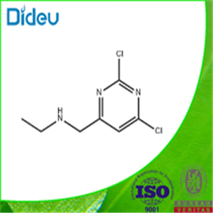 (2,6-Dichloro-pyrimidin-4-ylmethyl)-ethyl-amine 