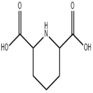 2,6-piperidinedicarboxylic acid