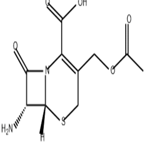 7-Aminocephalosporanic acid