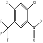 2,4-Dichloro-5-nitrobenzotrifluoride