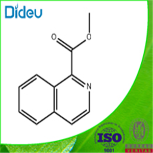 ISOQUINOLINE-1-CARBOXYLIC ACID METHYL ESTER 