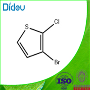 3-Bromo-2-chlorothiophene 