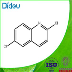 2,6-DICHLOROQUINOLINE 