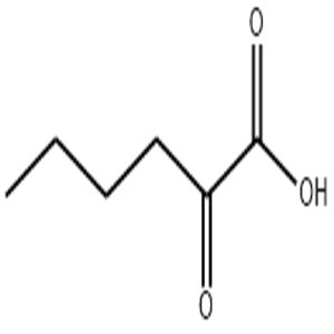 2-oxohexanoic acid