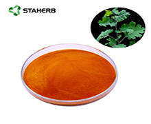 Macleaya cordata extract