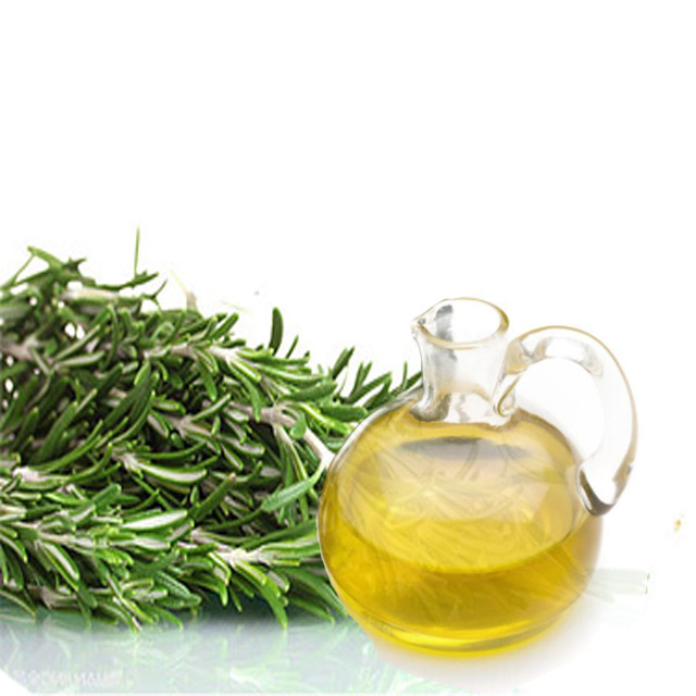 Rosemary Essentiol Oil