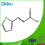 3-(2-THIENYL)ACRYLIC ACID 