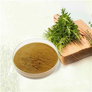 Rosemarinic acid Rosemary Extract 