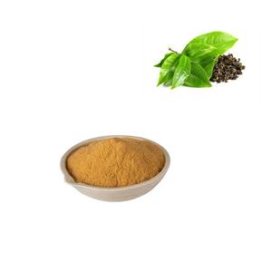 Oolong Tea Extract(90% Polyphenol,60% Catechin)