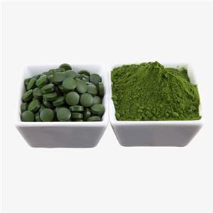 Spirulina Powder