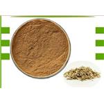 White Willow Bark Extract