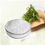 Rosemarinic acid Rosemary Extract 