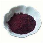 Elderberry Extract