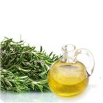 Rosemary essential oil Rosemary Extract 