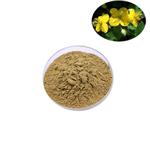 celandine extract