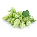 hop extract