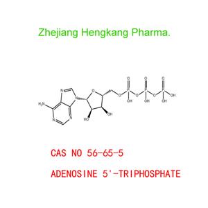 ADENOSINE 5'-TRIPHOSPHATE