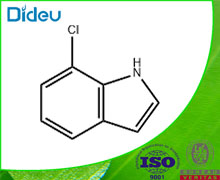 7-Chloroindole 