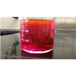 Rhodamine B