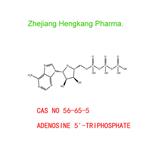 ADENOSINE 5'-TRIPHOSPHATE