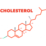 Cholesterol