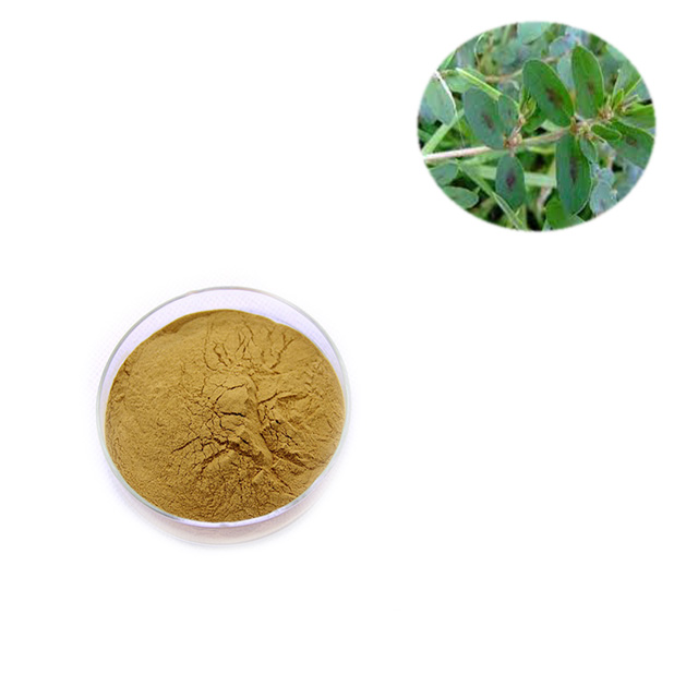  Euphorbiae Humifusae Herba extract