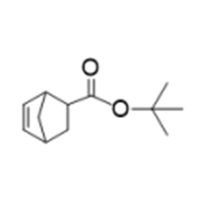 5-Norbornene-2-carboxylic t-Butyl ester