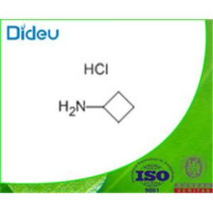 CYCLOBUTYLAMINE HYDROCHLORIDE 