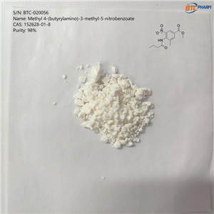 Methyl 4-(butyrylamino)-3-methyl-5-nitrobenzoate