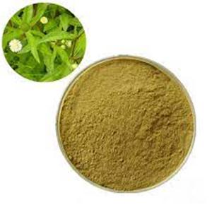 Eclipta Alba Extract