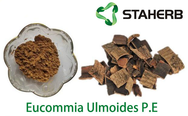 Eucommia Ulmoides P.E