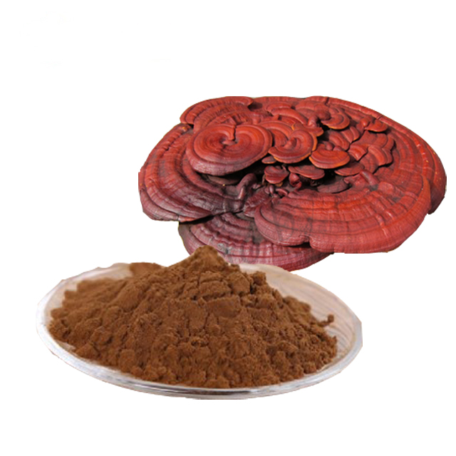 Lucidum ganoderma extract