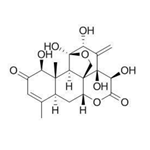 Eurycomanone