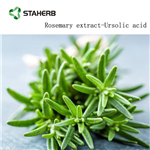 Rosemary Extract powder Carnosic acid powder