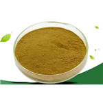 African Mango Extract