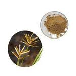 Cyperus Esculentus Extract