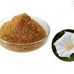 Flos Daturae Extract