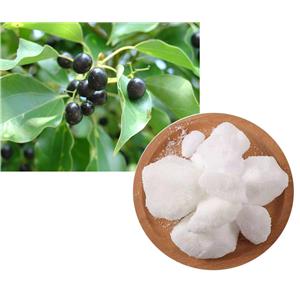 D-CAMPHOR; Camphor tree extract