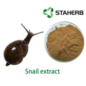 Snail Extract