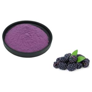 Mulberry powder;Mulberry Extract