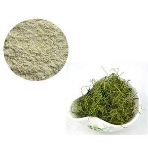 GYNOSTEMMA PLANT EXTRACT；GYPENOSIDES 